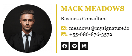 Email Signature for Business Consultunt